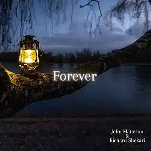 Picture for song 'Forever' by artist 'Richard Shekari'