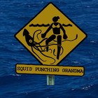 Picture for song 'Street Cred' by artist 'Richard Thomas'