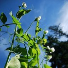 Picture for song 'Migrant' by artist 'Richele Kuhlmann'