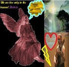 Picture for song 'We are free only in the heaven' by artist 'Richi.h.'