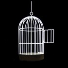 Picture for song 'Hear the Silence Sing.mp3' by artist 'Rick Hayward'