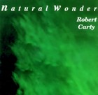 Picture for song 'Inner Steps' by artist 'Robert Carty'