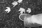 Picture for song 'October' by artist 'Robert Nathan Taylor'