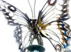 Picture for song 'Metamorphosis' by artist 'Robert Strom'