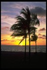Picture for song 'Baby What We Had Was Beautiful (BMI)' by artist 'Ronnie Bee's Gigabyte Band'
