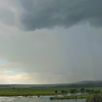 Picture for song 'rain' by artist 'roughcopies'