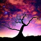 Picture for song 'star gazer' by artist 'Russell W Hughes'