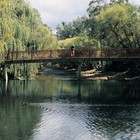 Picture for song 'Going down the Road Feeling Bad.MP3' by artist 'Rusty Pickers'