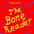 Picture for song 'THE BONE READER' by artist 'Sahib Radio'