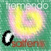 Picture for song 'TREMENDO' by artist 'SALFEN'