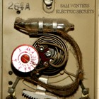 Picture for song 'Superstar' by artist 'Sam Winters'