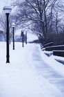 Picture for song 'Winter Wonderland' by artist 'Sandy Montgomery'