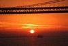 Picture for song 'Touch The Sunset (Sashman+DJ Iono Mix)' by artist 'Sashman'