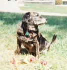 Picture for song 'Throw It Again' by artist 'Seiyge'