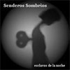 Picture for song 'Llevame a otro planeta' by artist 'Senderos Sombrios'