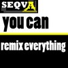Picture for song 'seqva - you can remix everything' by artist 'seqva'