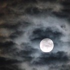 Picture for song 'BSO la careta' by artist 'Serge Loud'