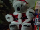 Picture for song 'All I Want For Christmas is YOU' by artist 'SharraLou'
