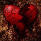 Picture for song 'A HEART SO BROKEN' by artist 'SHELL BELL'