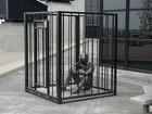 Picture for song 'Cage' by artist 'Shultzy'