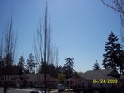Picture for song 'LAKE SIDE BUZZZ' by artist 'Sidelightsofrelativity'