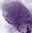 Picture for song 'The Last Thank You (Posledno Blagodaram)' by artist 'SINAJ'