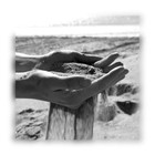Picture for song 'Sifted' by artist 'Sister Soma'