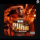 Picture for song 'SJProductionz - Ima Burn Em.mp3' by artist 'SJ Prductions'