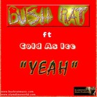 Picture for song 'YEAH' by artist 'Slamdino Entertainment'