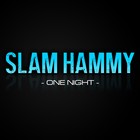 Picture for song 'One Night (I Can Rearrange If You Want)' by artist 'Slam Hammy'