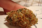 Picture for song 'Taste so Good (marijuana)' by artist 'smileytech'