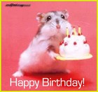 Picture for song 'Happy Birthday, JayDoze!' by artist 'Smooth Doggy Breath'