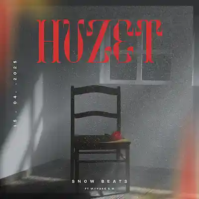 Picture for song 'Huzet' by artist 'Snow063'