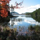 Picture for song 'Reflection' by artist 'Snowkitten'