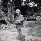 Picture for song 'PRISONER OF WAR' by artist 'Songhogg'