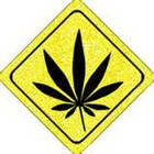 Picture for song 'When Im Stoned' by artist 'Sonic Rake'