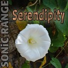 Picture for song 'Serendipity' by artist 'SONiC RANGE'