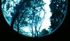 Picture for song 'Intermisson 2' by artist 'space helmet'