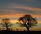 Picture for song 'A New Day' by artist 'Spirits of the Heart'