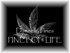 Picture for song 'BEAT 1' by artist 'SPUDY G BEATZ'