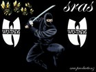 Picture for song 'instrumenta of sras *ninja strike force*' by artist 'sras'