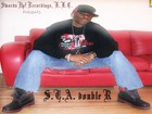 Picture for song 'Who is STA*RR' by artist 'STA double R'