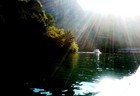 Picture for song 'RAYS' by artist 'Stan Loh'