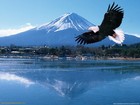 Picture for song 'WHEN EAGLES CRY' by artist 'Stan Loh'