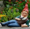 Picture for song 'Garden Gnome' by artist 'Stephen Gashler'