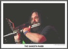 Picture for song '3RD DIASPORA-EUROPE' by artist 'STEVE LIEBERMAN THE GANGSTA RABBI'