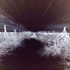 Picture for song 'Solemnity' by artist 'Still Autumn'