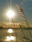 Picture for song 'Touch the Sun - Acoustic Guitar, Cello, Viola' by artist 'Studio J'
