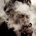 Picture for song 'Suite200MusicGroup.com - Cannabis' by artist 'Suite 200 Music Group'