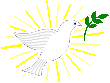 Picture for song 'They Are Pure Light' by artist 'Sunshine with Bergey and Michael J. Peace'